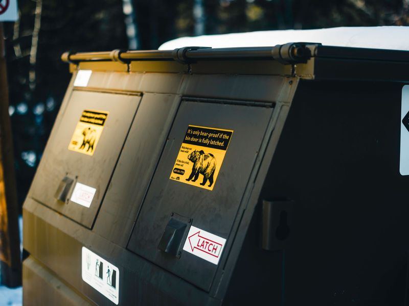 Dumpster rental job in the Downtown neighborhood of Iowa City